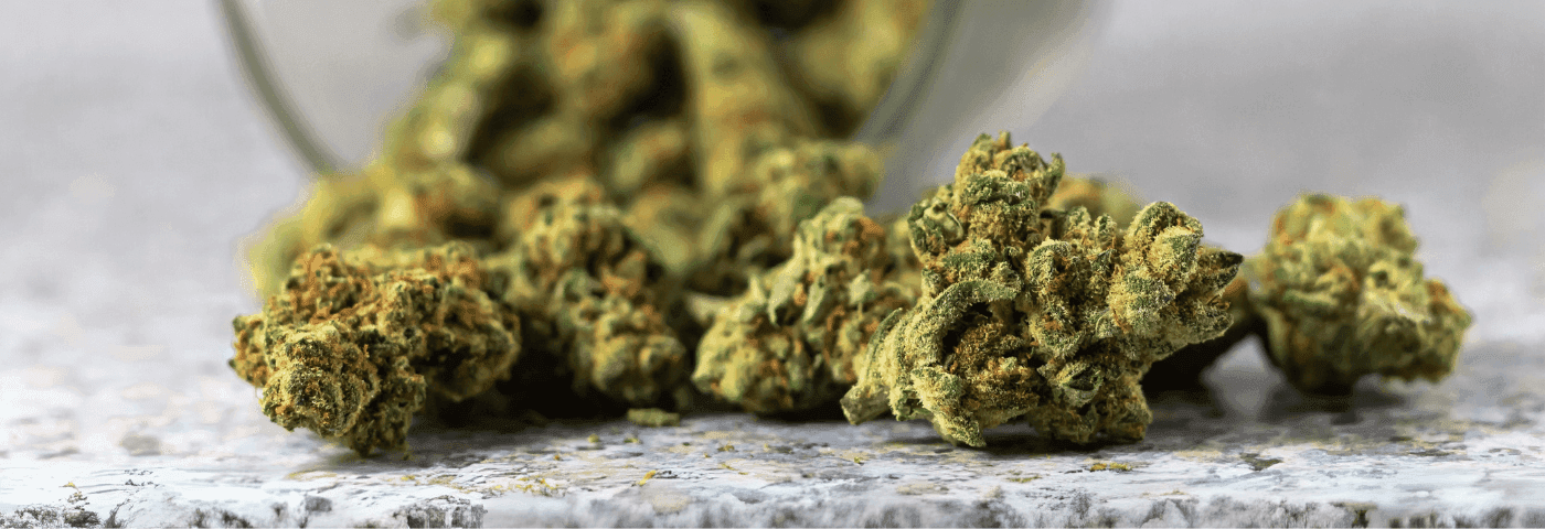 Nahaufnahme von Cannabisblüten in einem Glasbehälter