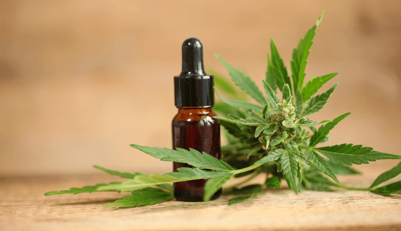 Braune Flasche mit Hanföl und Hanfpflanze